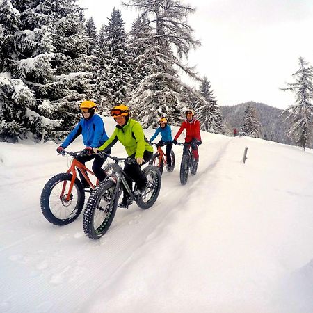 Bio-Holzhaus Und Landhaus Heimat Ramsau am Dachstein Exteriör bild