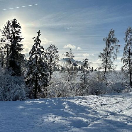 Bio-Holzhaus Und Landhaus Heimat Ramsau am Dachstein Exteriör bild
