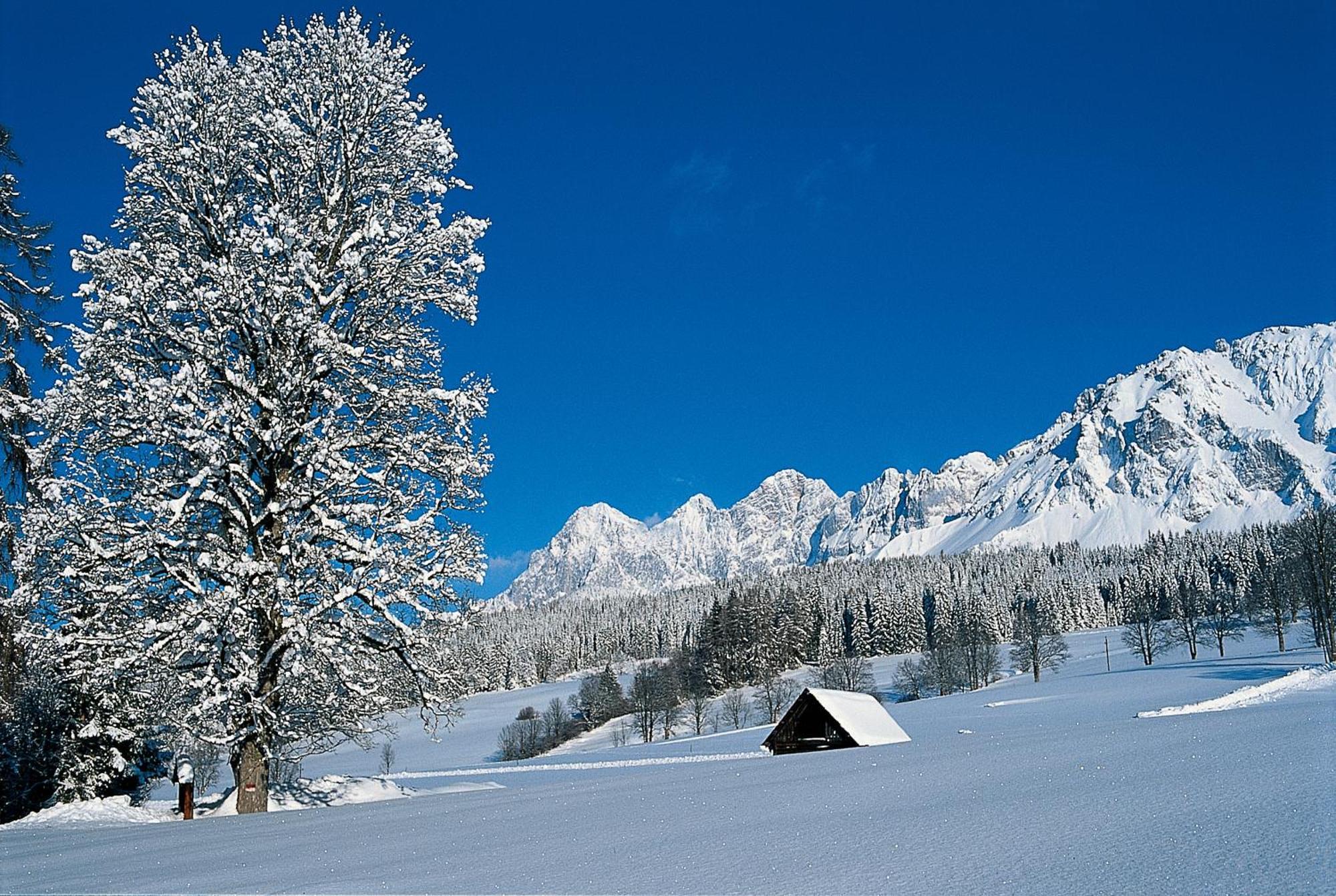 Bio-Holzhaus Und Landhaus Heimat Ramsau am Dachstein Exteriör bild