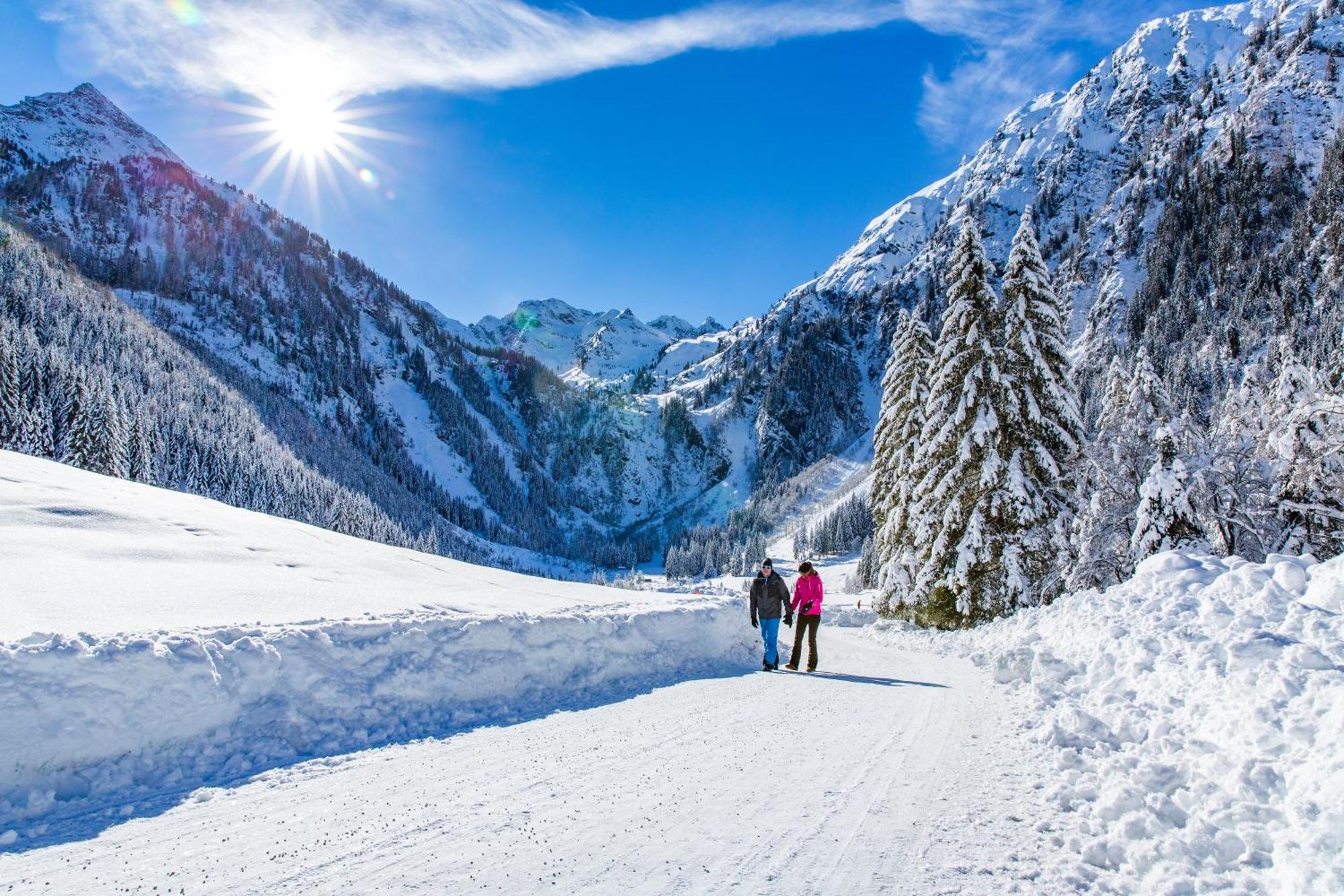 Bio-Holzhaus Und Landhaus Heimat Ramsau am Dachstein Exteriör bild