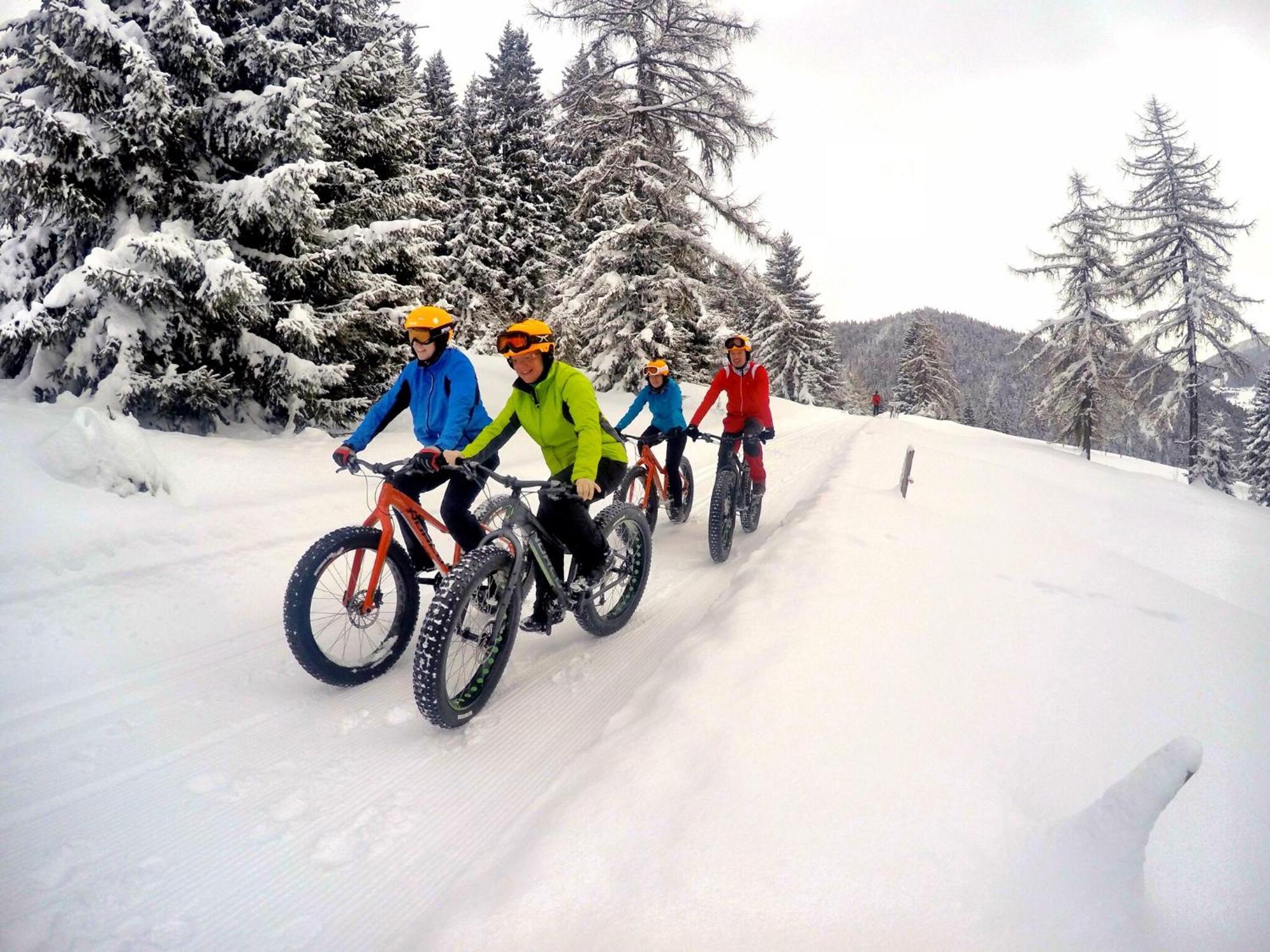 Bio-Holzhaus Und Landhaus Heimat Ramsau am Dachstein Exteriör bild