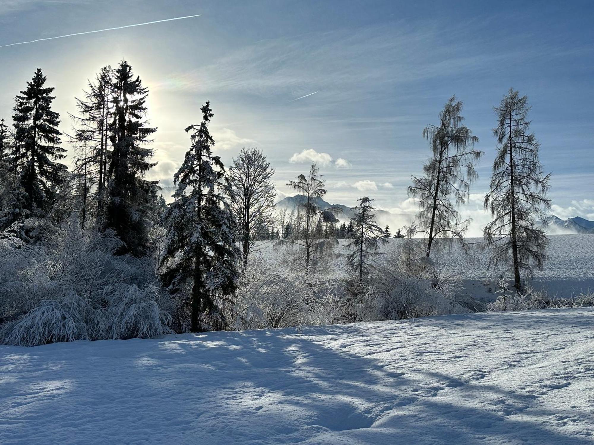 Bio-Holzhaus Und Landhaus Heimat Ramsau am Dachstein Exteriör bild
