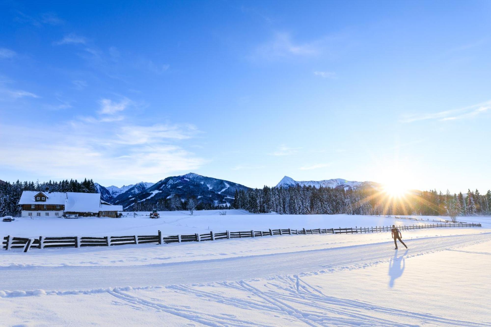 Bio-Holzhaus Und Landhaus Heimat Ramsau am Dachstein Exteriör bild