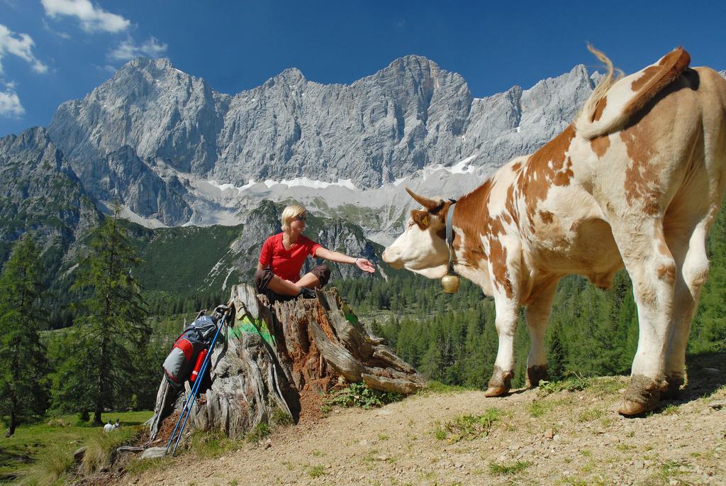 Bio-Holzhaus Und Landhaus Heimat Ramsau am Dachstein Exteriör bild